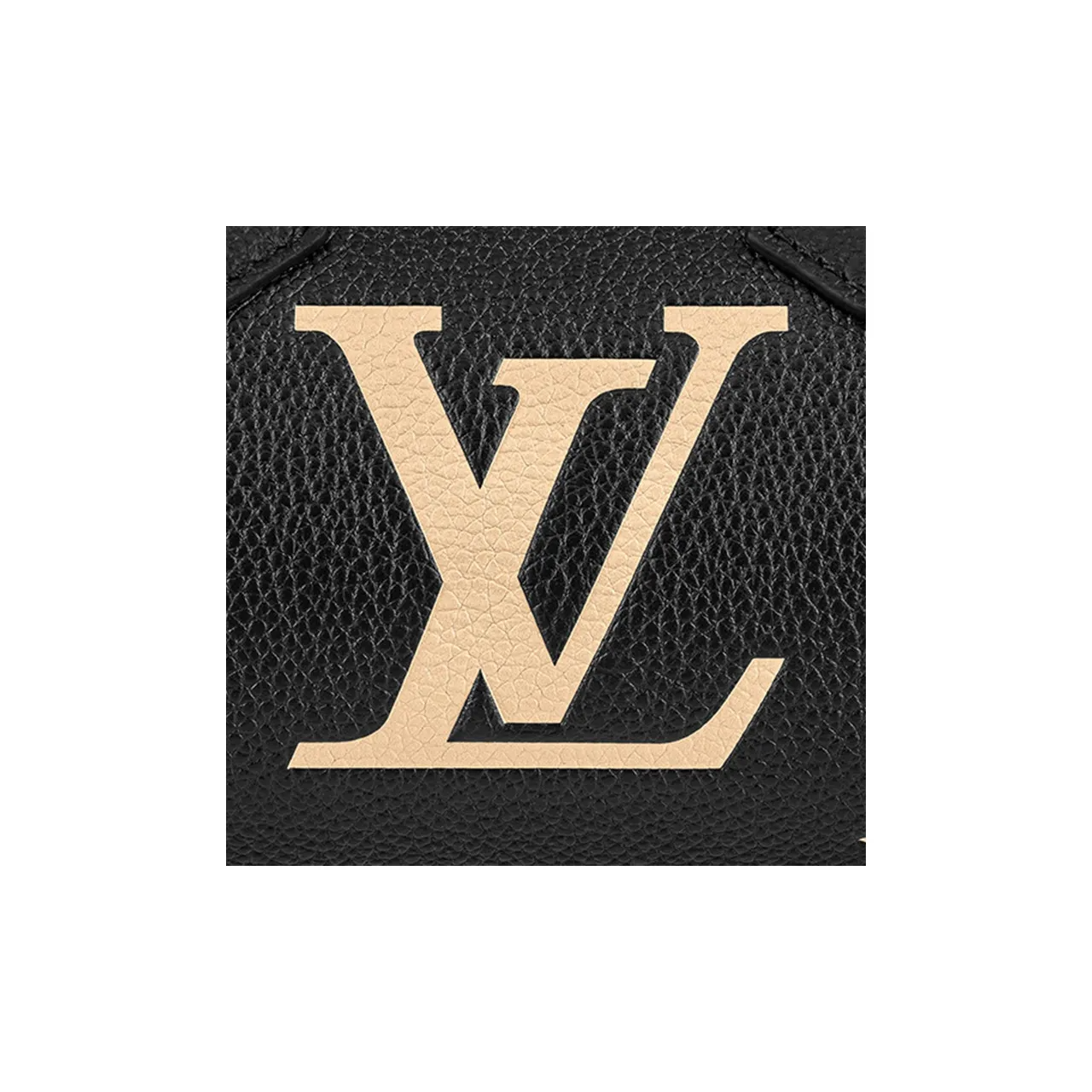 LOUIS VUITTON ルイヴィトン PAPILLON BB バッグ M45980 M46031