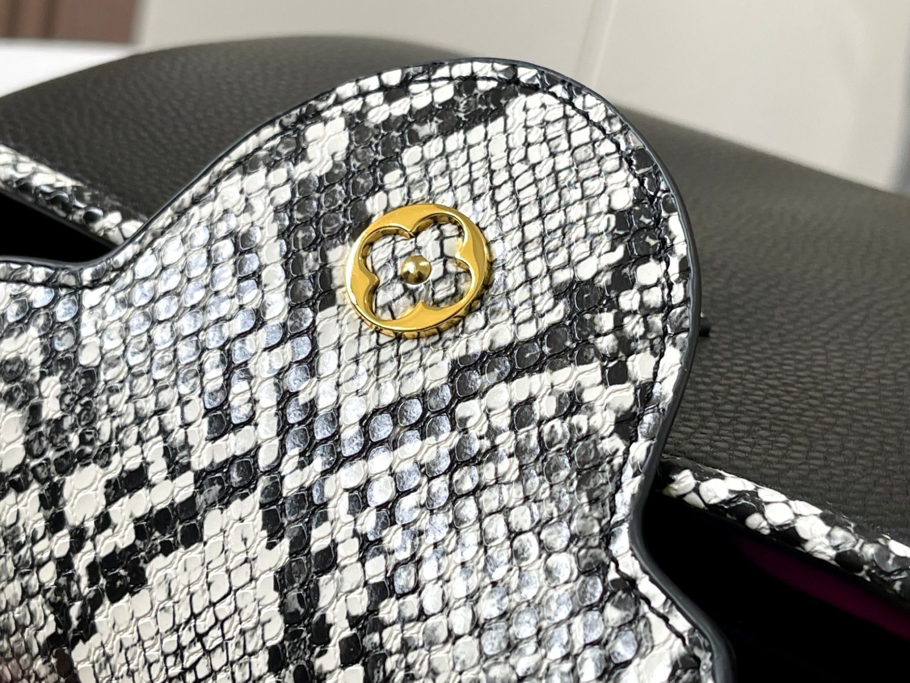 LOUIS VUITTON ルイヴィトン CAPUCINES ハンドバッグ M95508