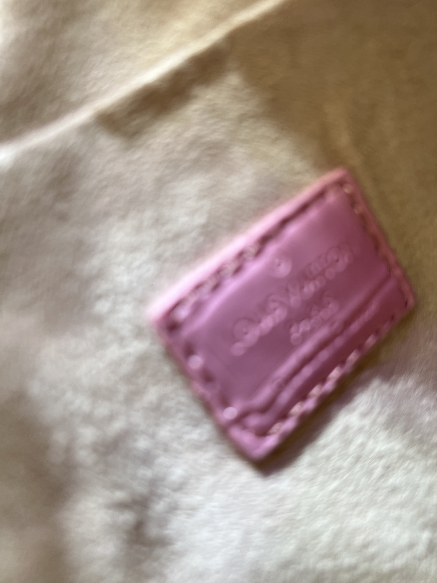 LOUIS VUITTON ルイヴィトン Speedy Bandoulière 20 クロスボディバッグ