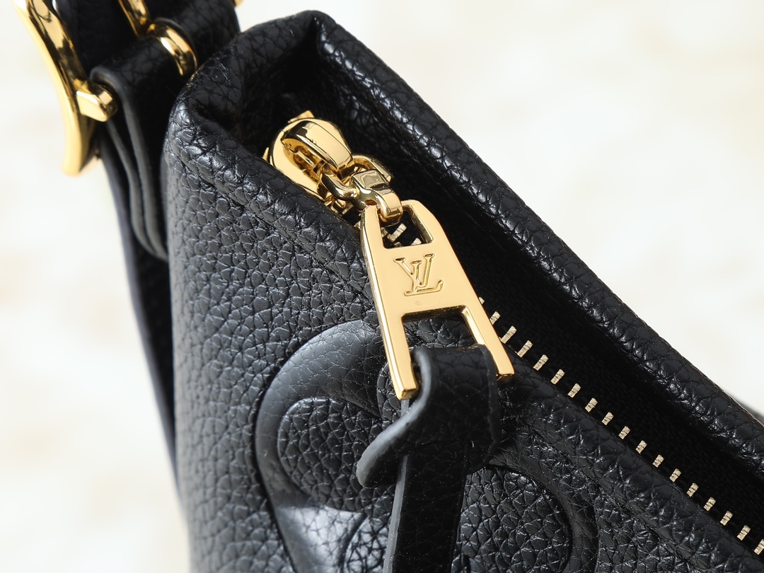 LOUIS VUITTON ルイヴィトン CarryAll ハンドバッグ