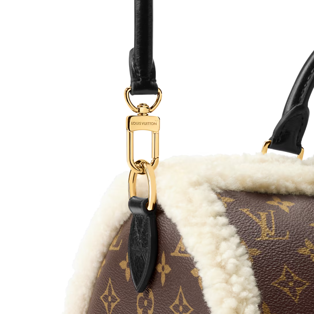 LOUIS VUITTON ルイヴィトン SPEEDY SOFT 30 TEDDY ショルダーバッグ M26326