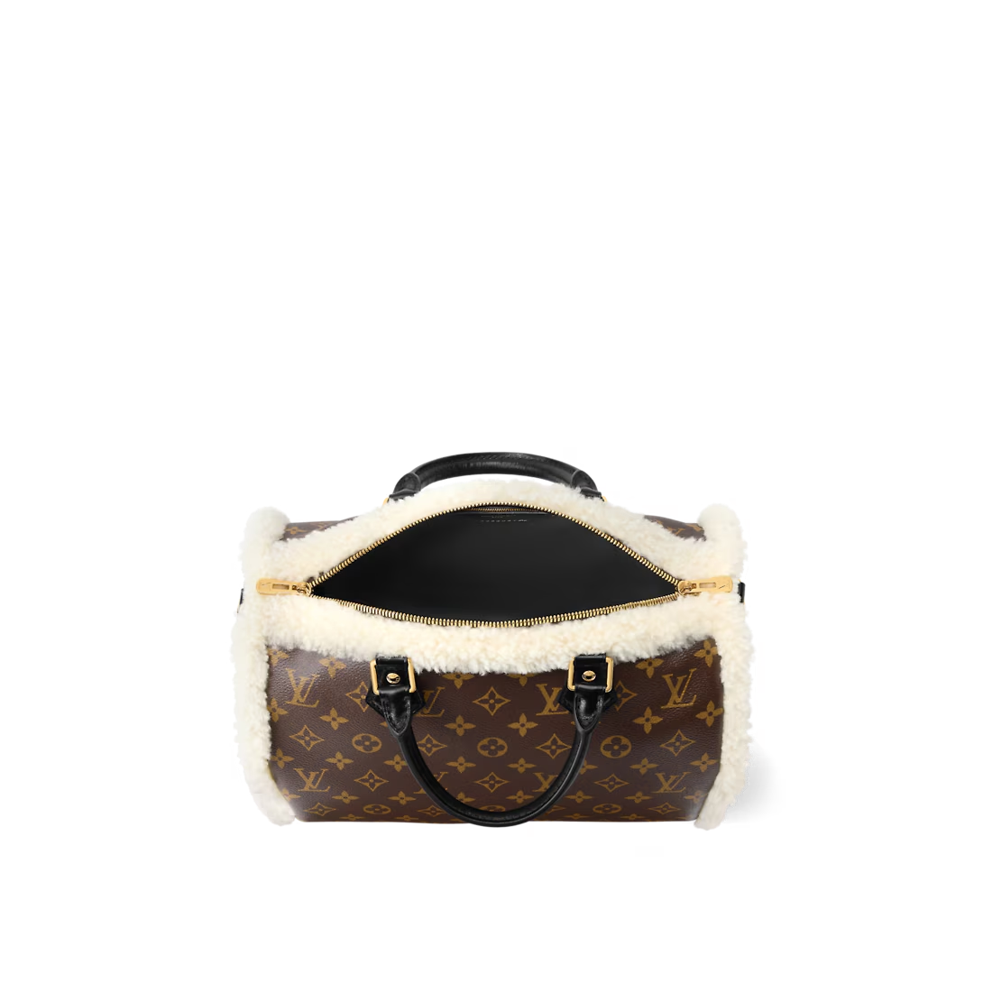 LOUIS VUITTON ルイヴィトン SPEEDY SOFT 30 TEDDY ショルダーバッグ M26326