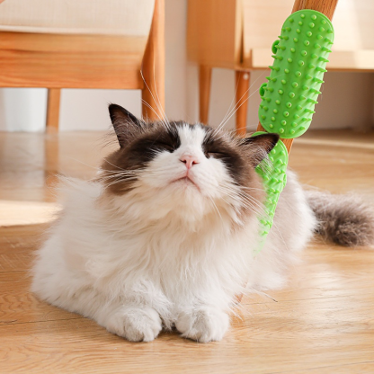 寵物貓狗高彈力蹭癢板