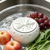 Ultrasonic Fruit and Vegetable Washer