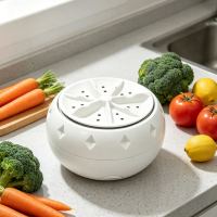 Ultrasonic Fruit and Vegetable Washer