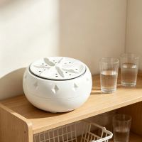 Ultrasonic Fruit and Vegetable Washer