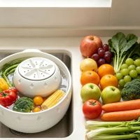 Ultrasonic Fruit and Vegetable Washer