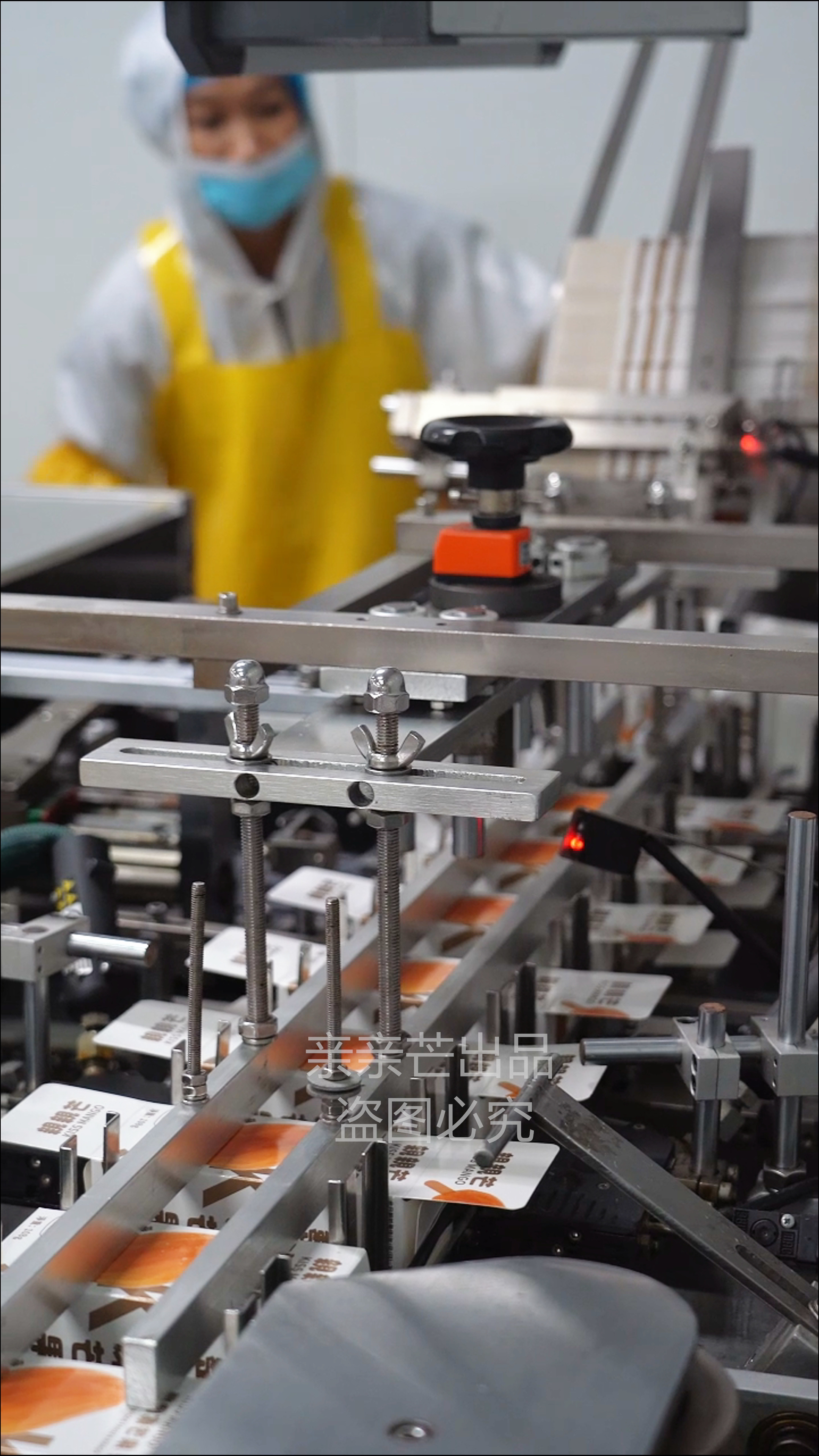 Factory Introduction-QinQinMang