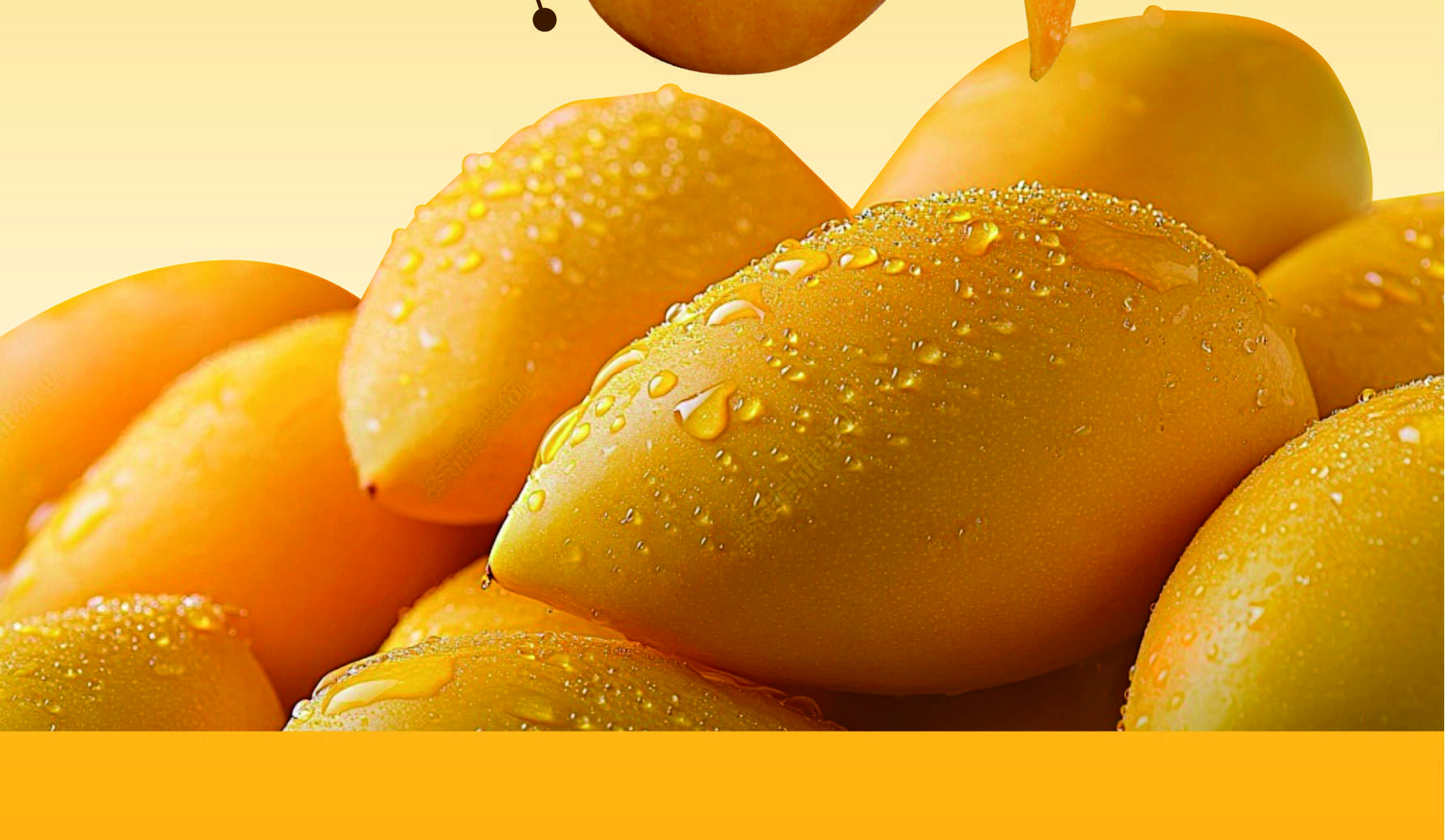 88g亲亲芒冻芒果冰淇淋88gQinqinmango Frozen Mango Ice Cream FDA/HACCP/ISO9001 最小起订100箱-QinQinMang