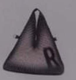Repleat Hobo Petite