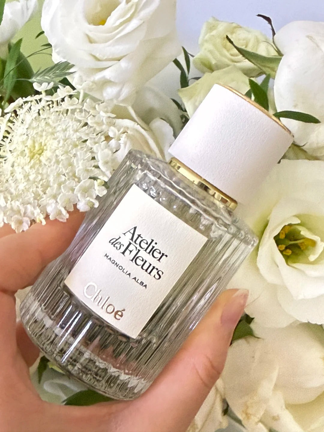 【ของแท้✓จัดส่งรวดเร็ว】 Roses De EDP & Nomade EDP & Atelier des Fleurs Magnolia Alba 2ml/5ml/10ml น้ำหอมพกพา สินค้าขายดี น้ําหอมผู้หญิง ติดทนนาน พร้อมส่ง ขนาดทดลอง