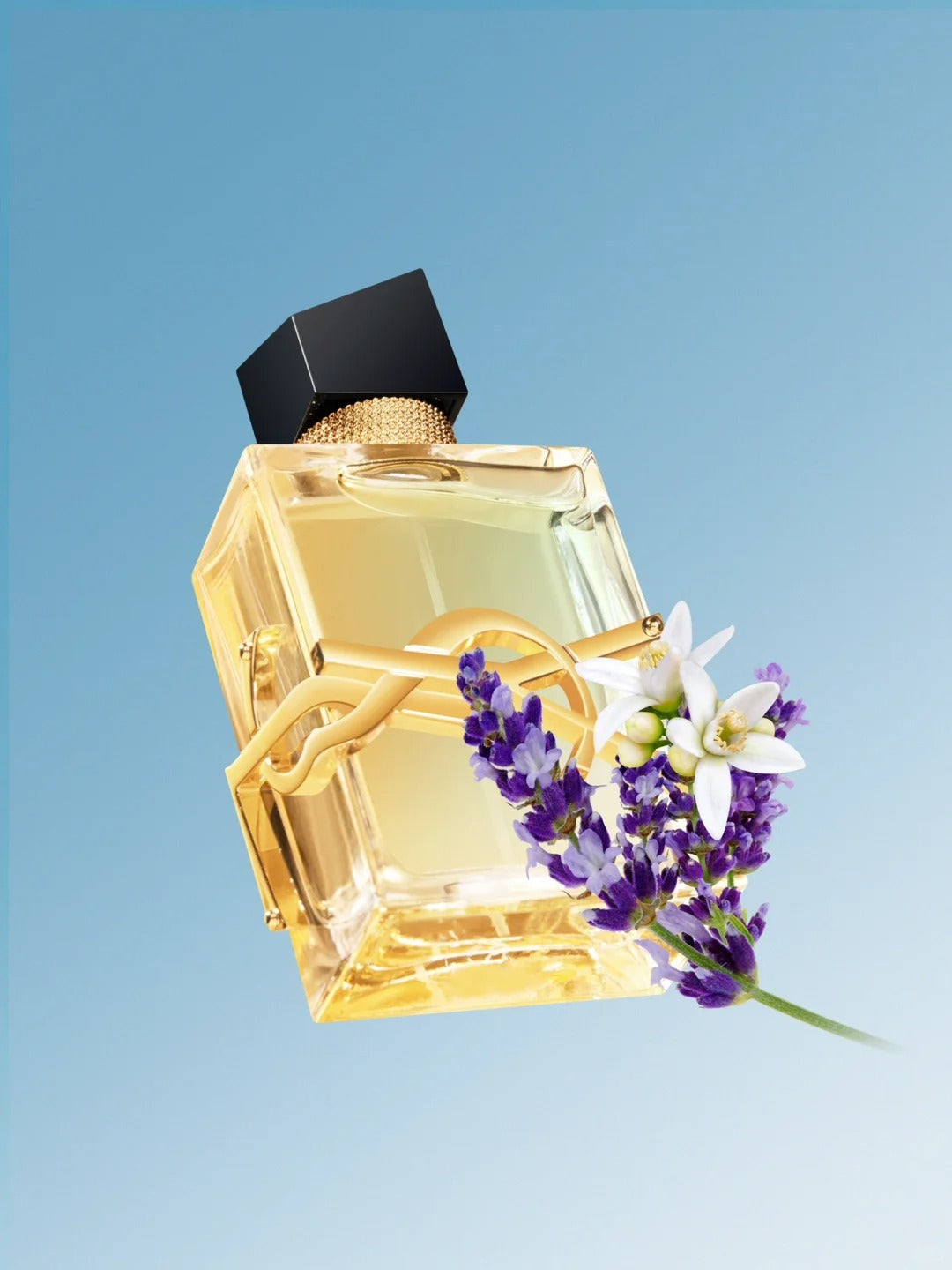 【ของแท้✓ติดทนนาน】Libre EDP 2ml / 5ml / 10ml น้ําหอมผู้หญิง น้ำหอมพกพา พร้อมส่ง กลิ่นติดทนนาน น้ำหอมขายดี 