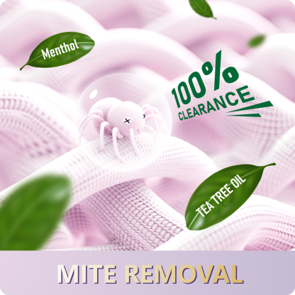 BigHi 60ML Liquid Laundry Detergent Calamansi Scent