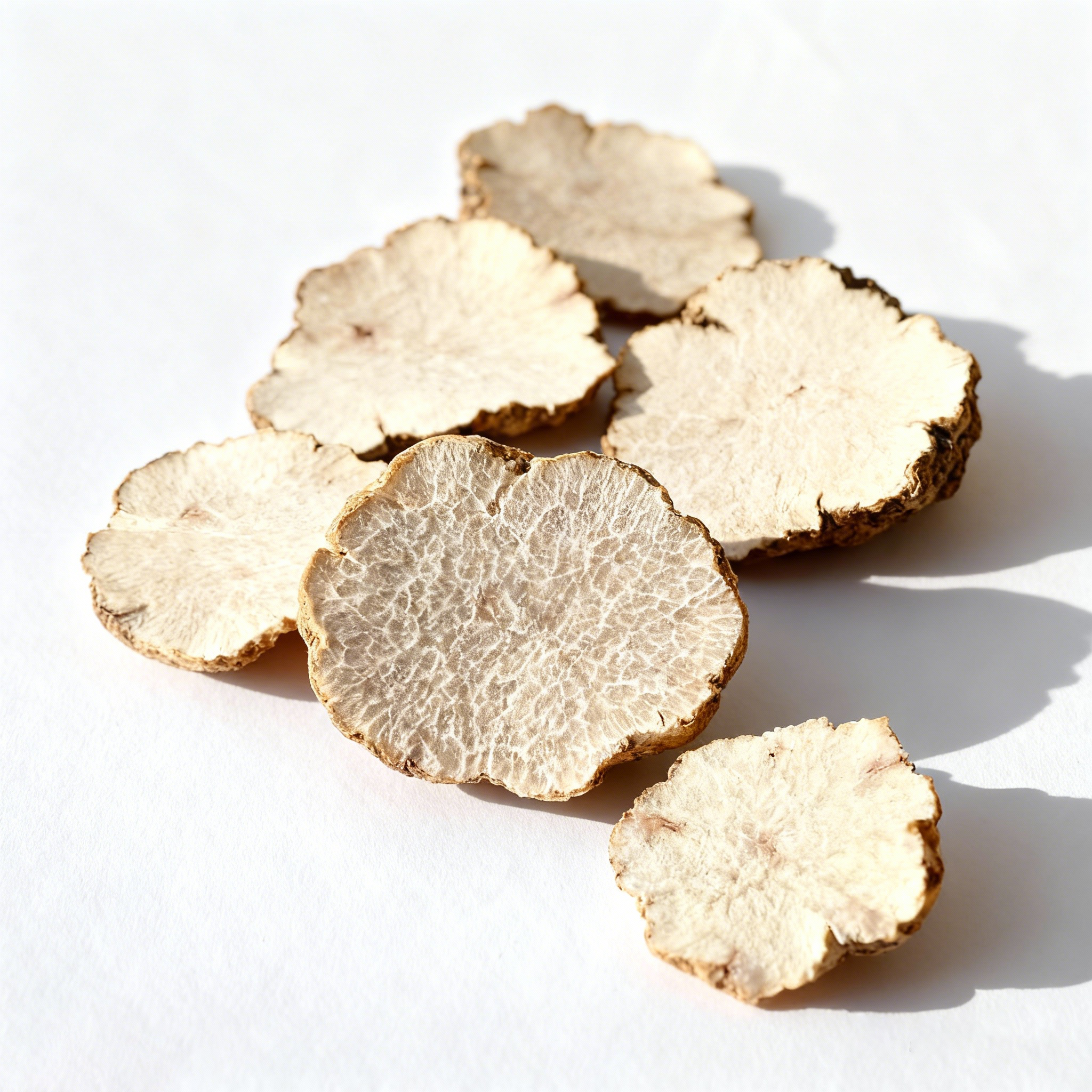 Scalp Nourishing Shampoo