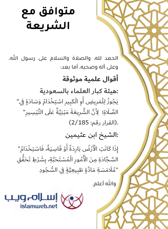 🎁 سجادة صلاة مبطنة مريحة لكبار السن - اشترِ 1 واحصل على 1 مجاناً! أفضل هدية للوالدين 🎁 التسليم خلال 3 أيام | دفع عند الاستلام | شحن مجاني