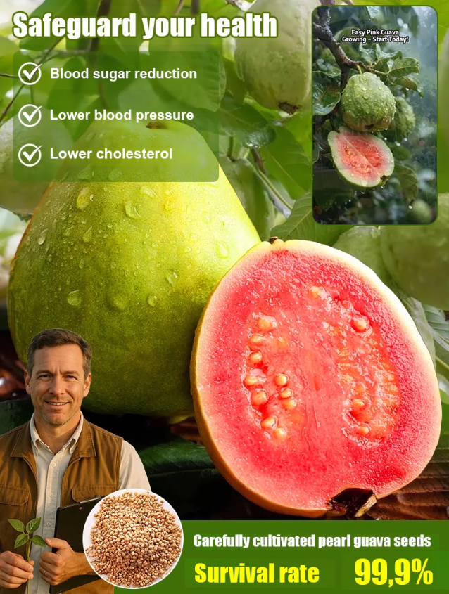[Low fat, anti-three highs] Pearl guava seeds