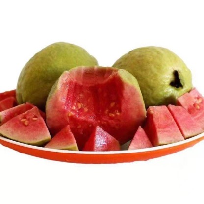 [Low fat, anti-three highs] Pearl guava seeds