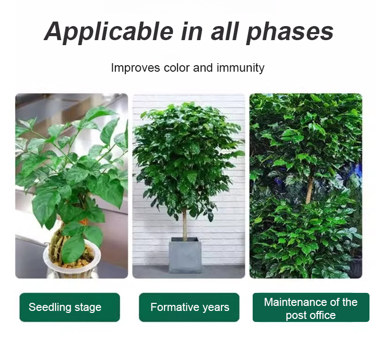 翻译件-JS-通用型植物花卉复活液-1153785_23.jpg