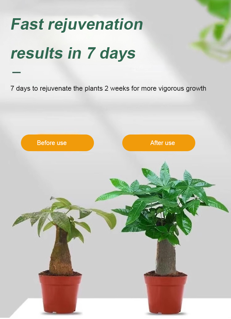 翻译件-JS-通用型植物花卉复活液-1153785_10.jpg