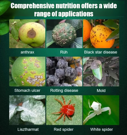 A bottle diluted with 1000 jin of water: Plant and fruit tree orchard cleaning agent.