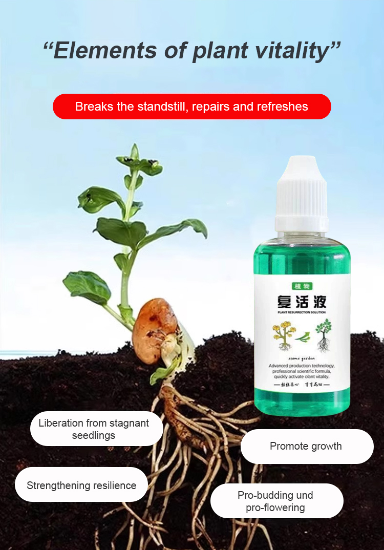 翻译件-JS-通用型植物花卉复活液-1153785_08.jpg