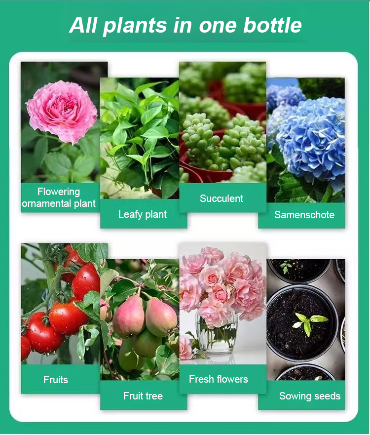 翻译件-JS-通用型植物花卉复活液-1153785_21.jpg