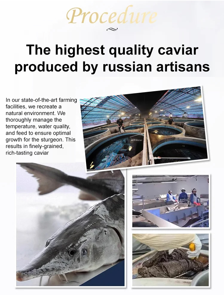 Russian imported sturgeon black caviar