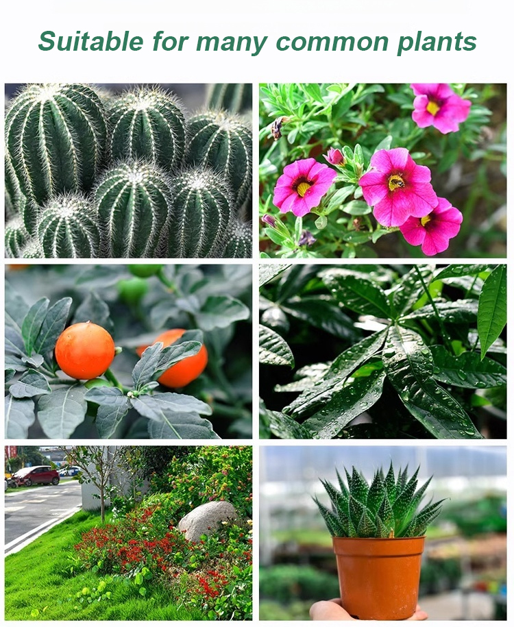 翻译件-JS-通用型植物花卉复活液-1153785_14.jpg