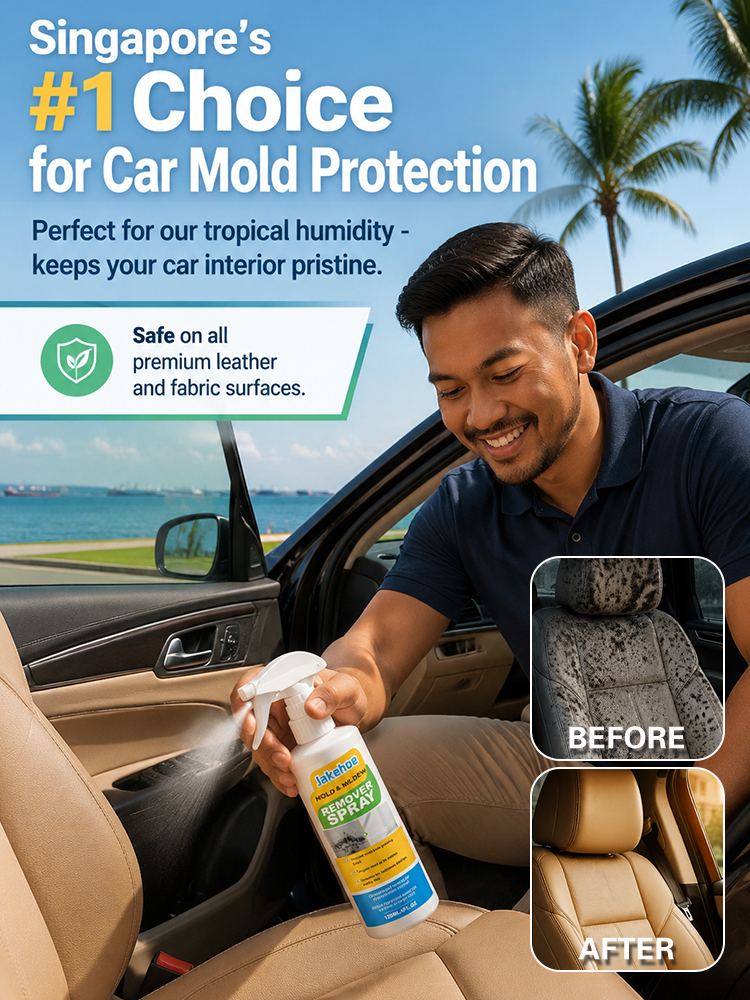 【Dual-use for car and home】Universal cleaning spray