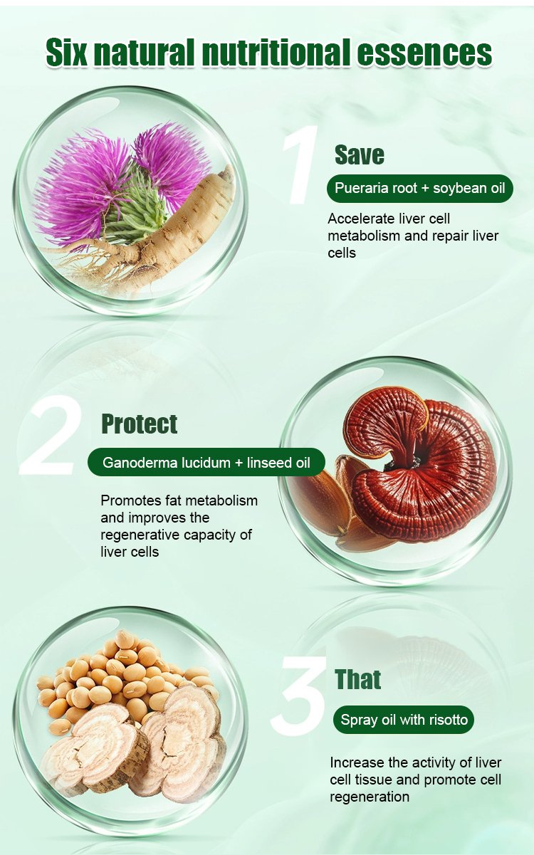 Milk Thistle Extract Liver Protection Capsules