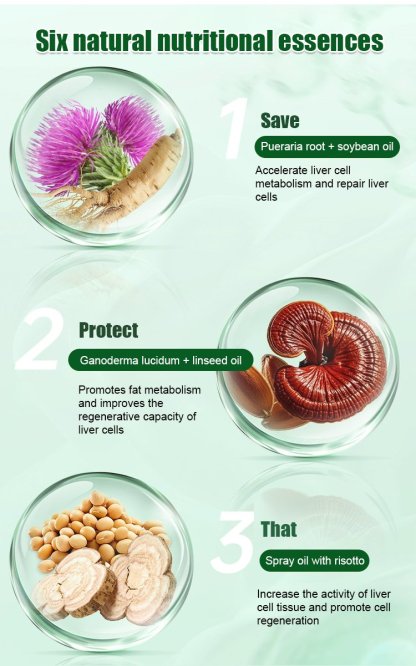 Milk Thistle Extract Liver Protection Capsules