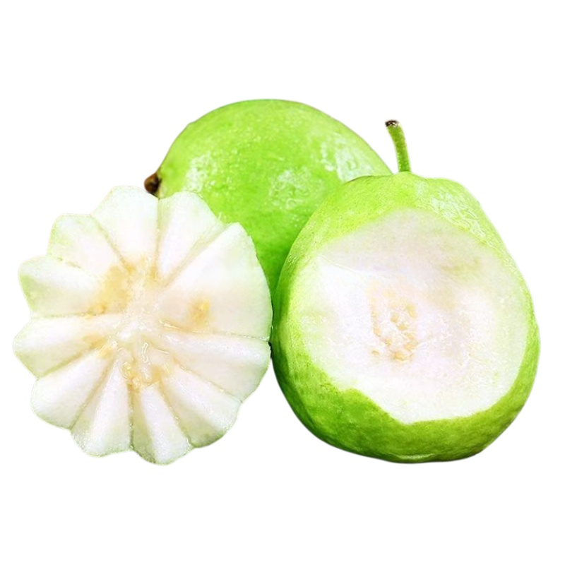 [Low fat, anti-three highs] Pearl guava seeds