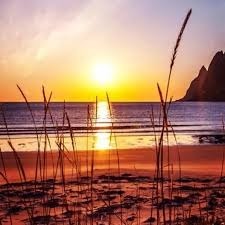 New multi-layer thermal insulation and fresh-keeping food cover.