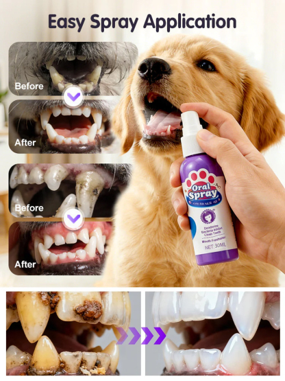 Pet Oral Care Spray