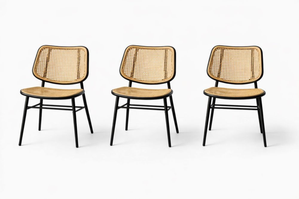 Set of 3 Rattan Dining Chairs with Black Metal Frame-Livomirae