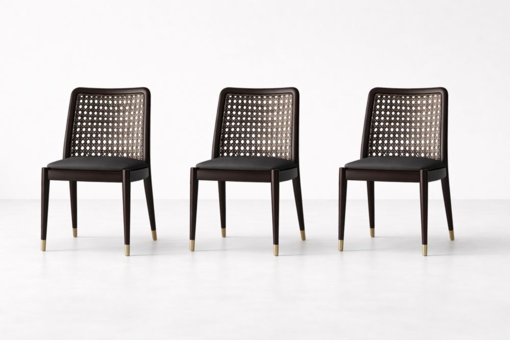Set of 3 Cane Back Dining Chairs with Wood Frame and Upholstered Seats in Dark Brown-Livomirae