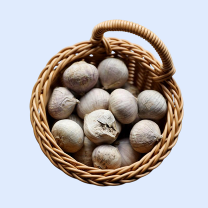 プラスチック製ラタン風壁掛けバスケット