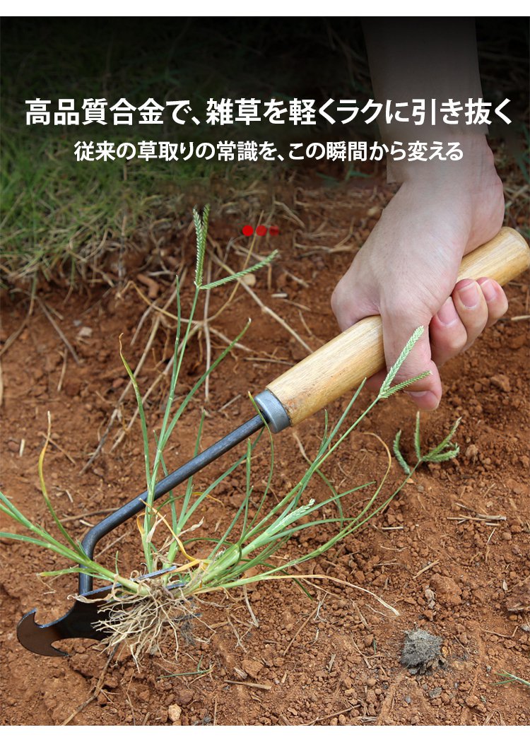 除草_19.jpg