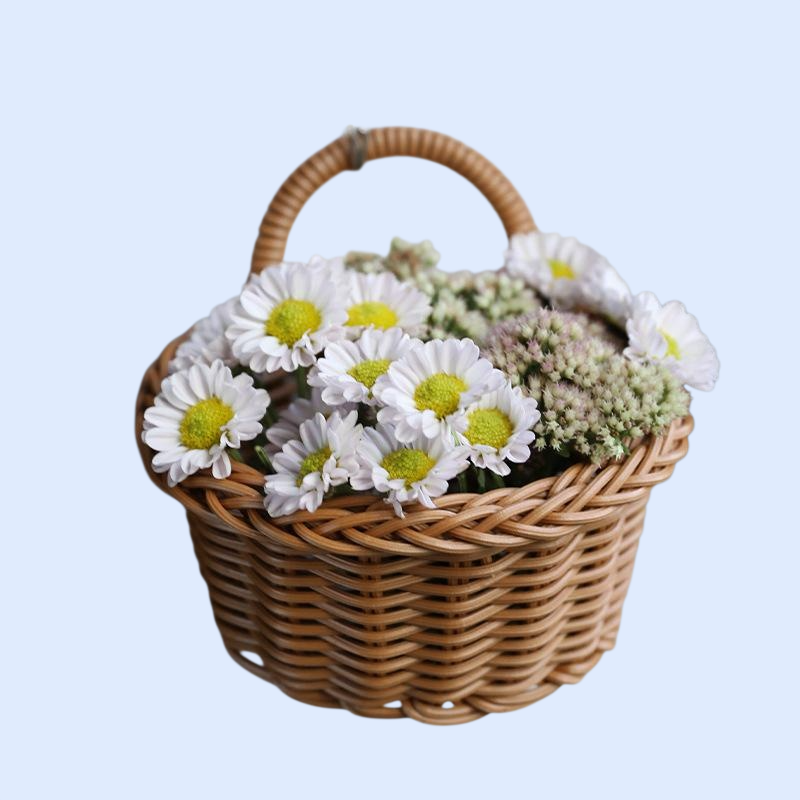 プラスチック製ラタン風壁掛けバスケット