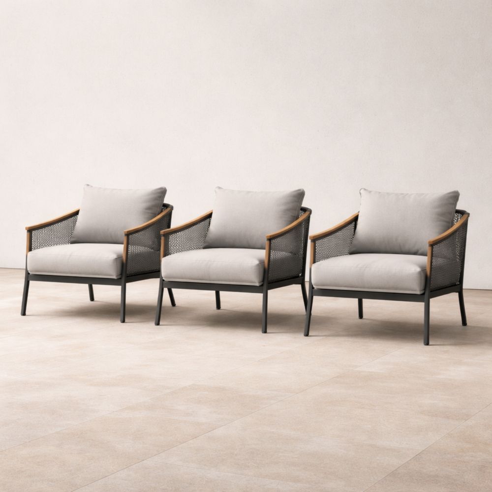 3-Piece Outdoor Lounge Chair Set with Cushions and Mesh Gray/Beige-Auravivian