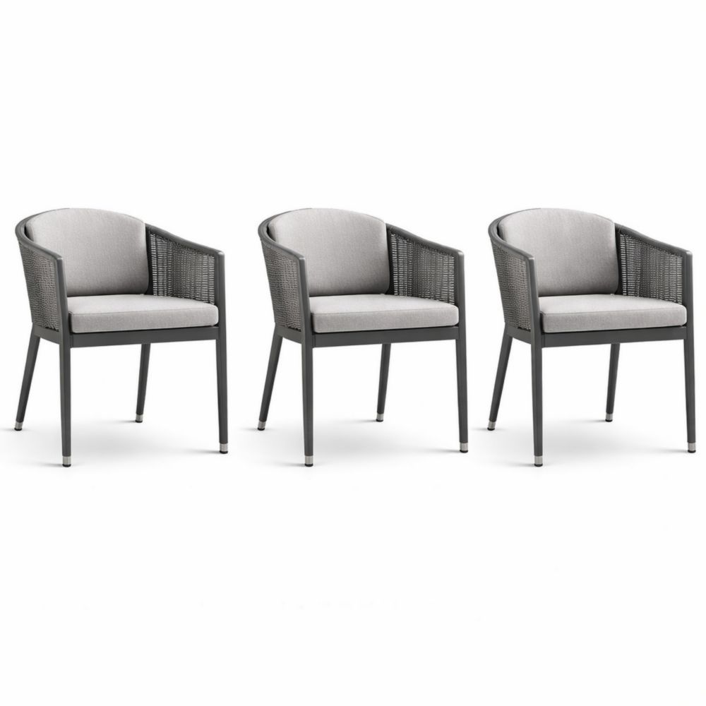 Outdoor Dining Chairs Set of 3 with Cushions Woven Backrest and Metal Frame-Auravivian