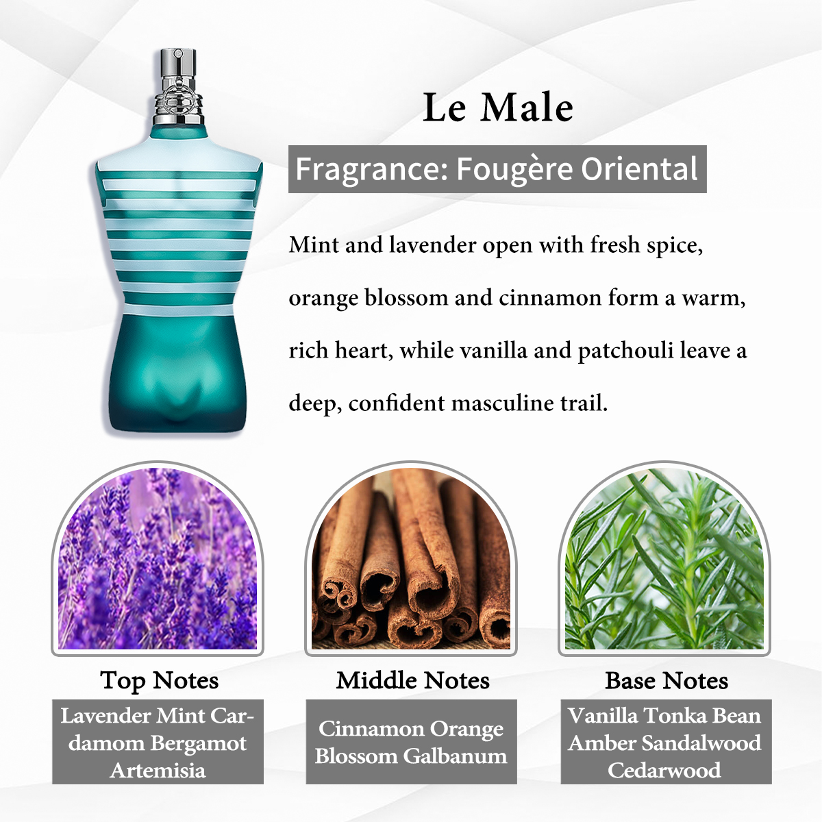 Jean Paul Gaultier Collection EDT COD