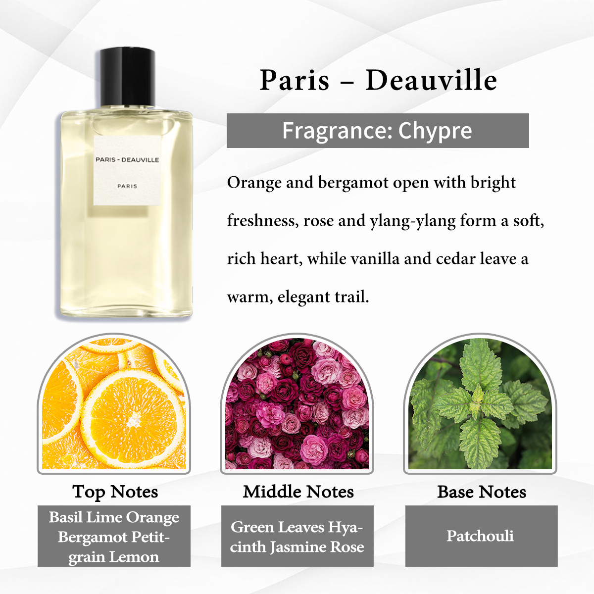   Chanel  Collection EDP COD
