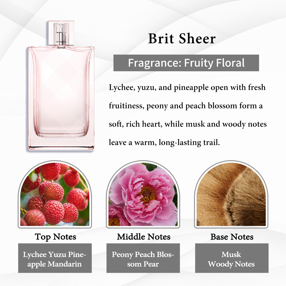 Burberry Collection EDP COD 