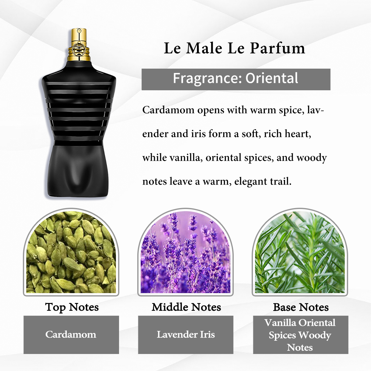 Jean Paul Gaultier Collection EDT COD