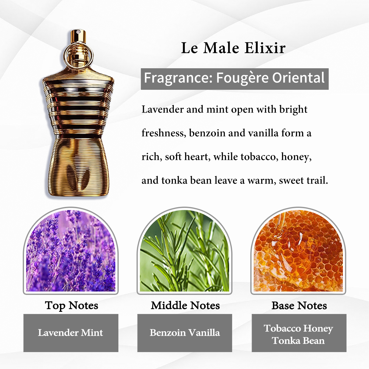 Jean Paul Gaultier Collection EDT COD