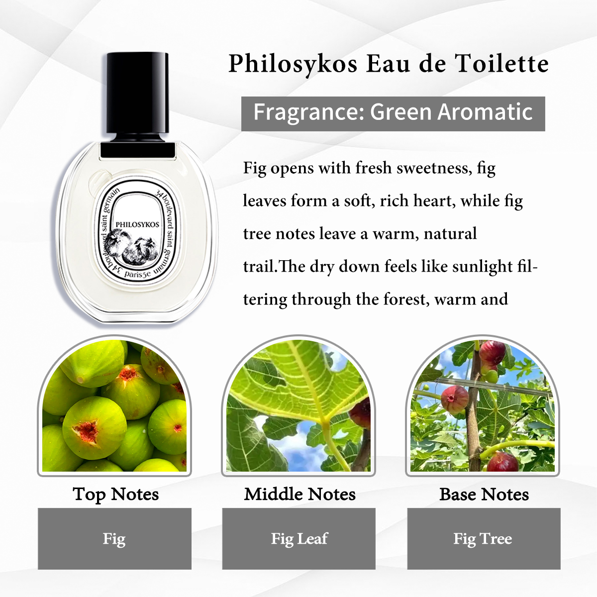 Diptyque Collection EDP COD 