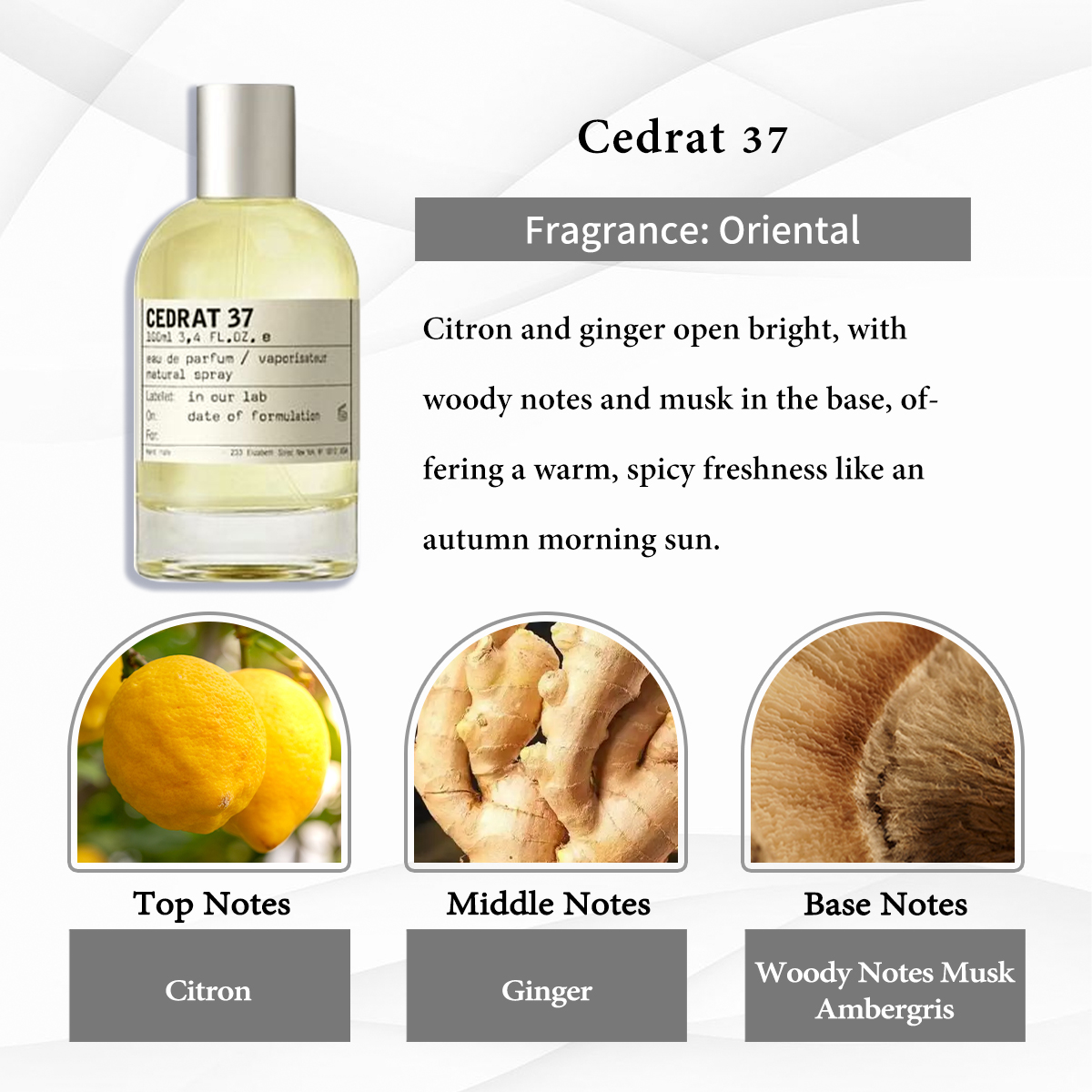 Le Labo Another 13 COD  Le Labo Collection