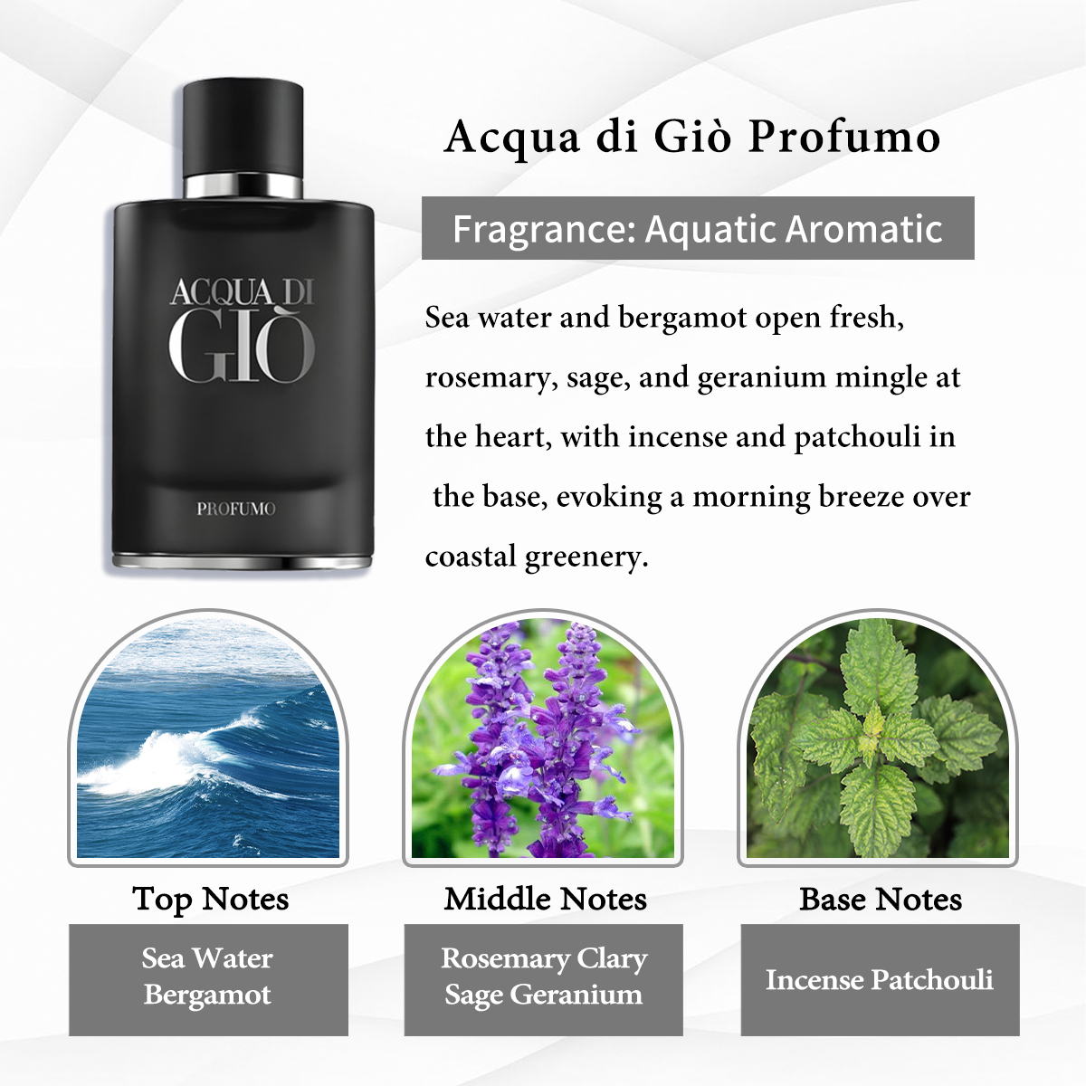 Giorgio Armani Collection EDT COD