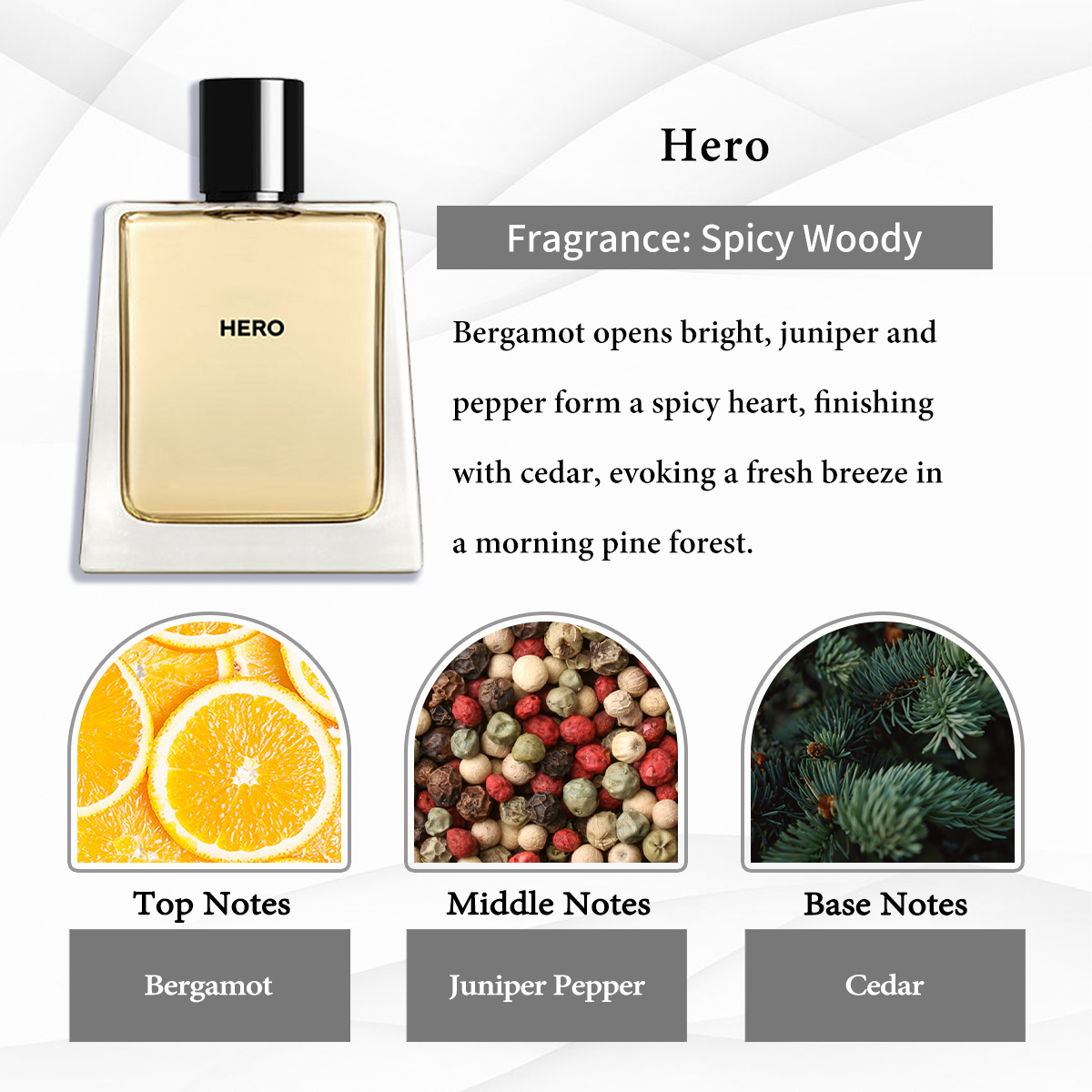 Burberry Collection EDP COD 